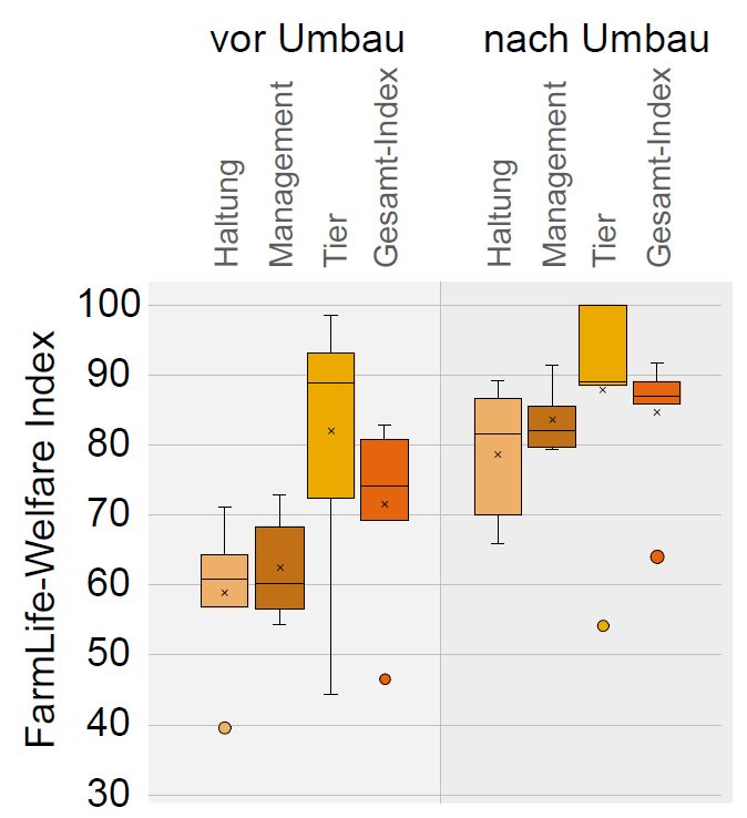 Grafik